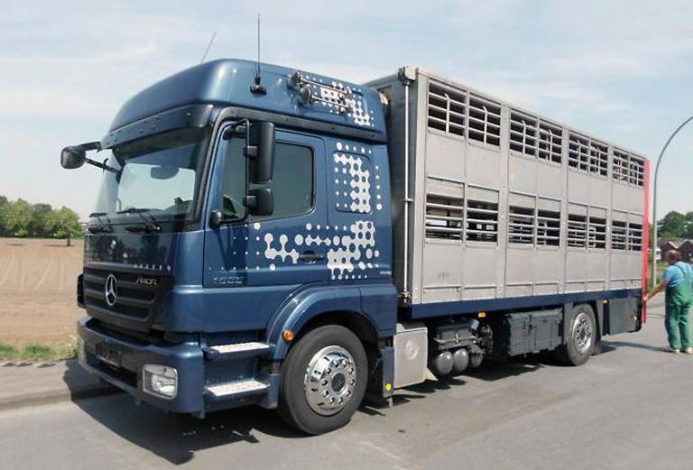 Транспортировка с/х животного автотранспортом из Покрова в Чехова
