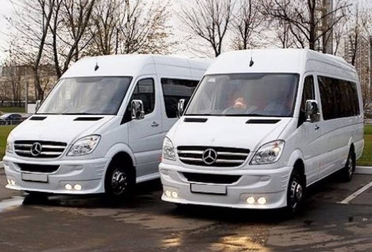 Организация и выполнение пассажирских перевозок автомобильным транспортом из Владимира в Суздаль